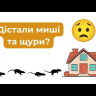 Отпугиватель мышей и крыс "УльтраСіч-500" (500 м², Украина)