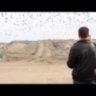 Акустический отпугиватель птиц Сапсан-3 (0,5 гектар, Украина)