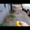 Отпугиватель собак "Пугач-5" 