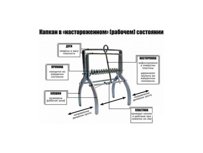 Капкан для кротов, слепышей, полевок ГрінМіл-5103 (Польша)